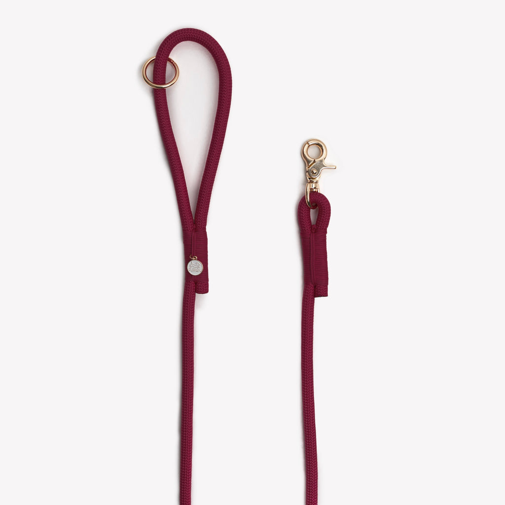 Braided Rope Leash — Bordeaux