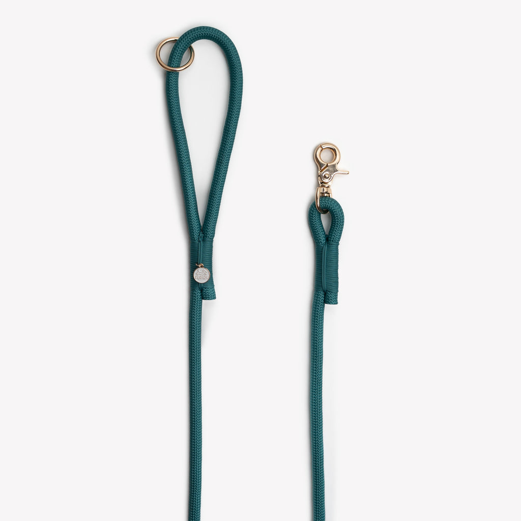 Braided Rope Leash — Blue