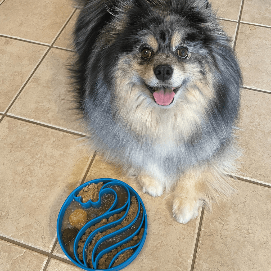 Slow Feeder Dog Bowl — Made in USA