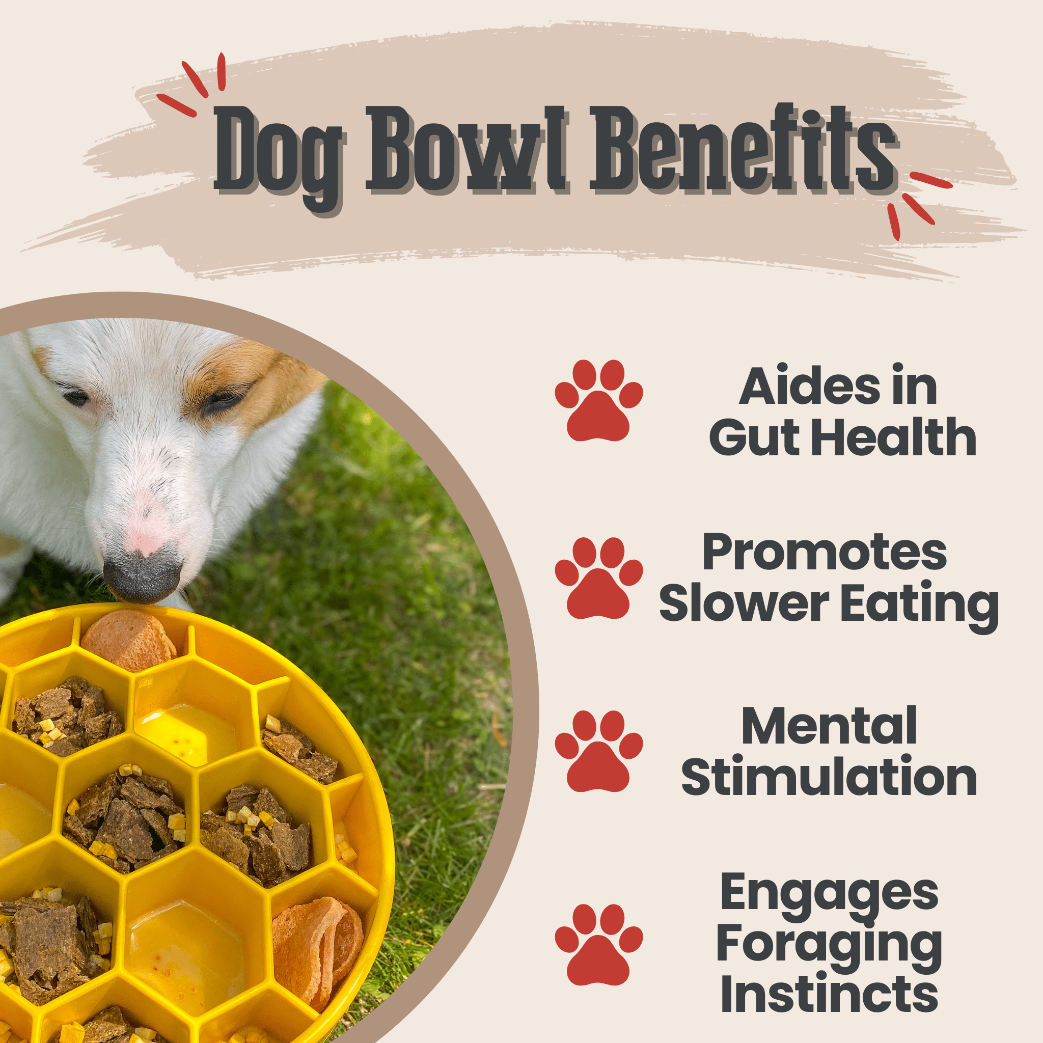 Slow Feeder Dog Bowl — Made in USA