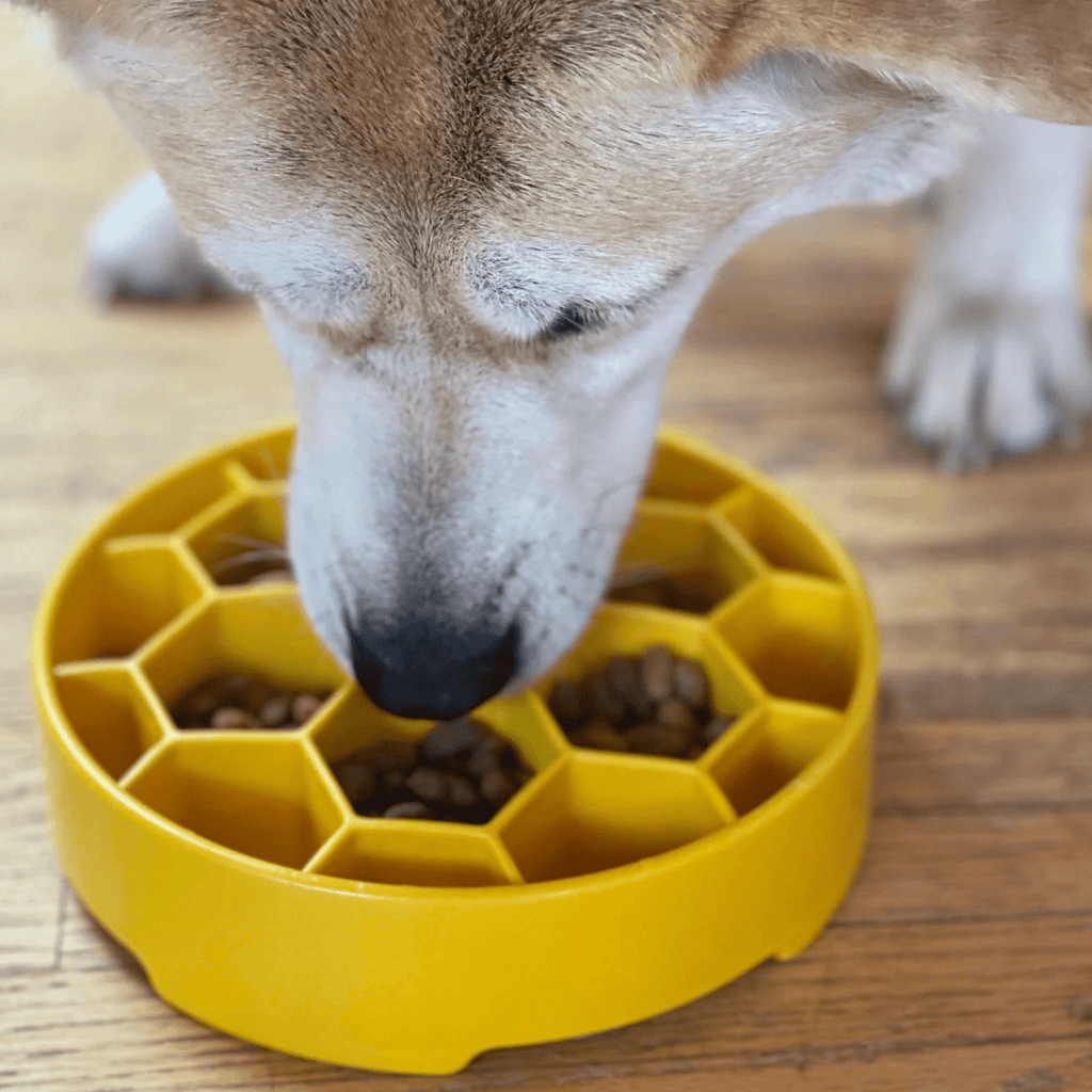 Slow Feeder Dog Bowl — Made in USA