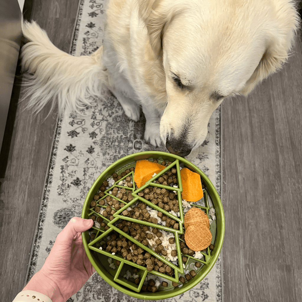 Slow Feeder Dog Bowl — Made in USA