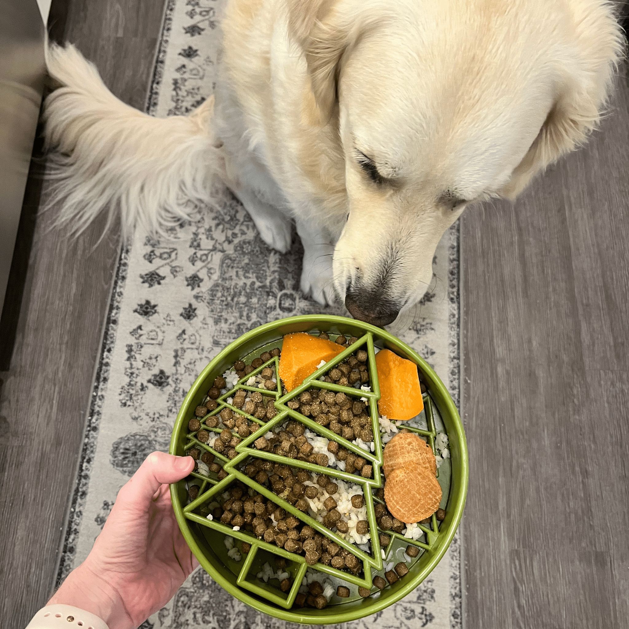 Slow Feeder Dog Bowl — Made in USA