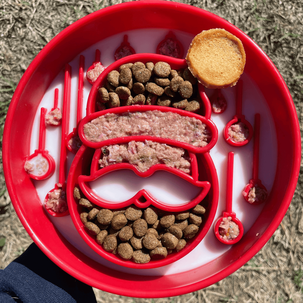 Slow Feeder Dog Bowl — Made in USA