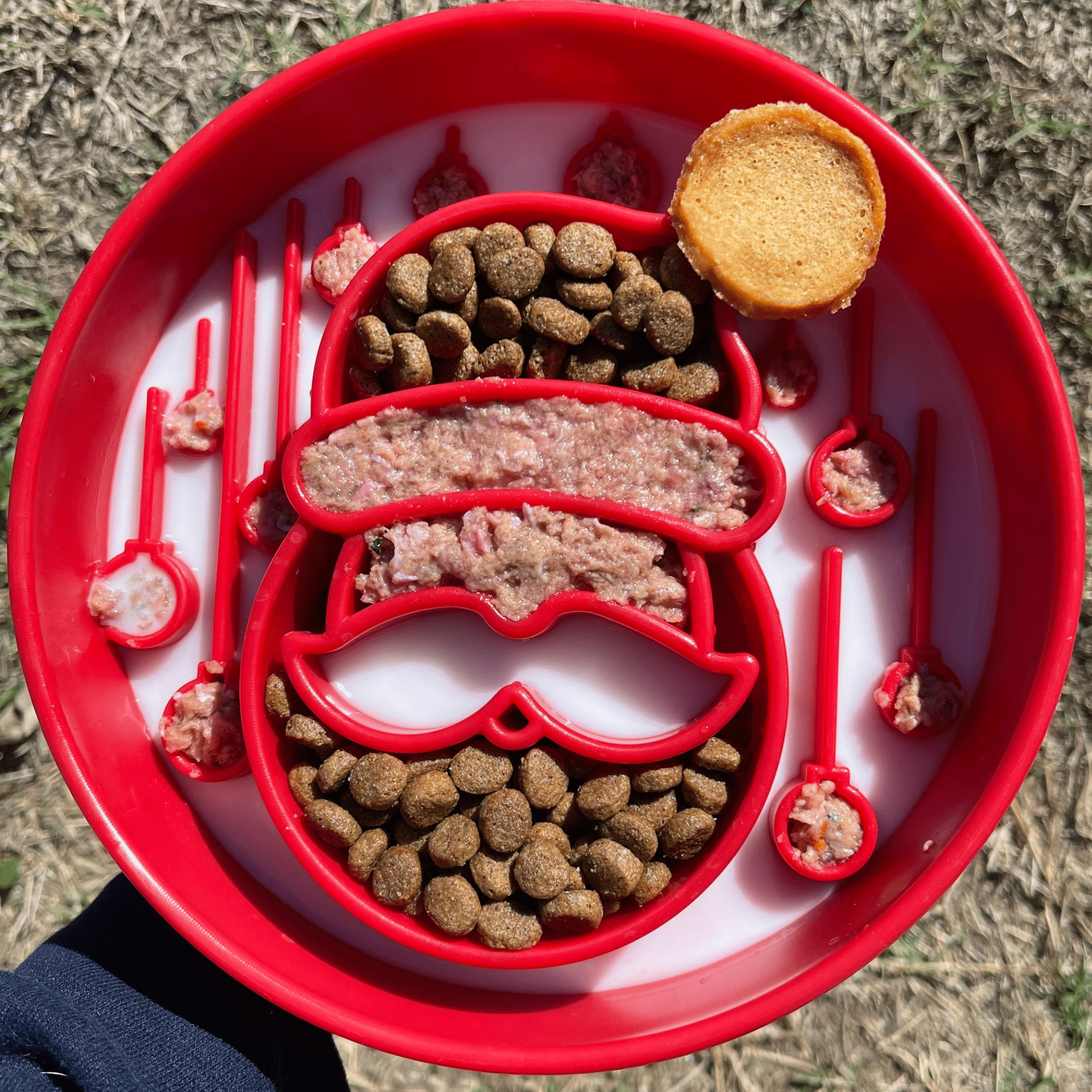 Slow Feeder Dog Bowl — Made in USA