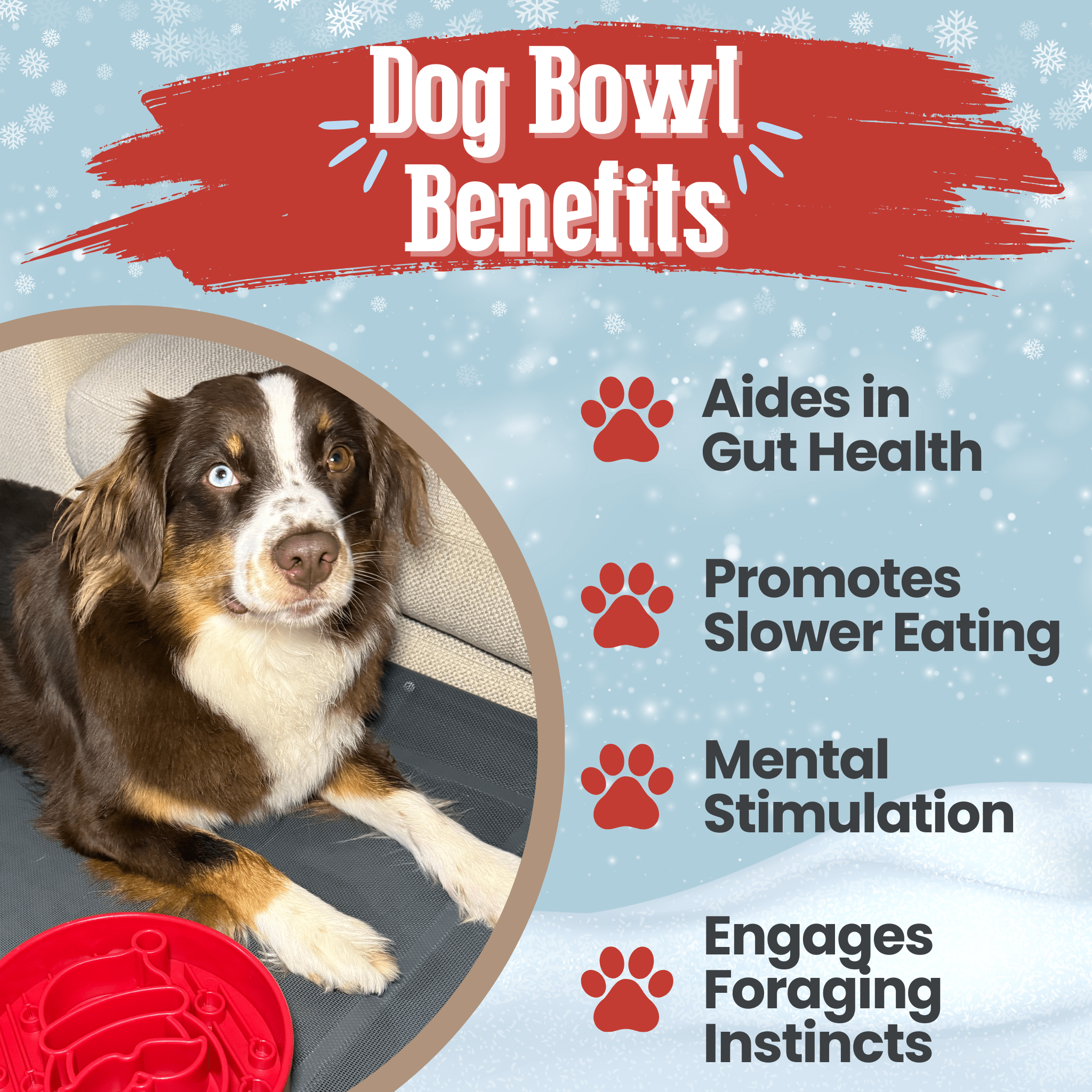 Slow Feeder Dog Bowl — Made in USA