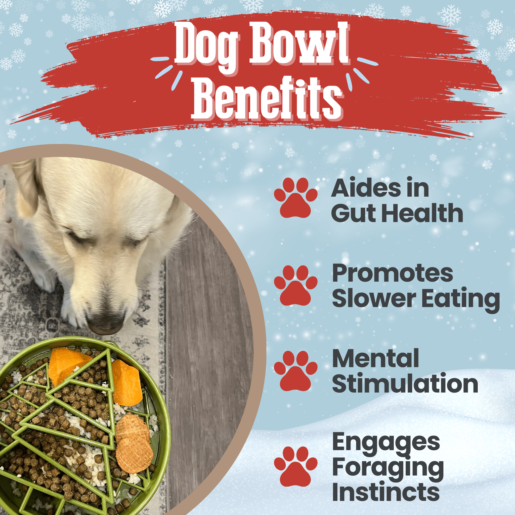 Slow Feeder Dog Bowl — Made in USA