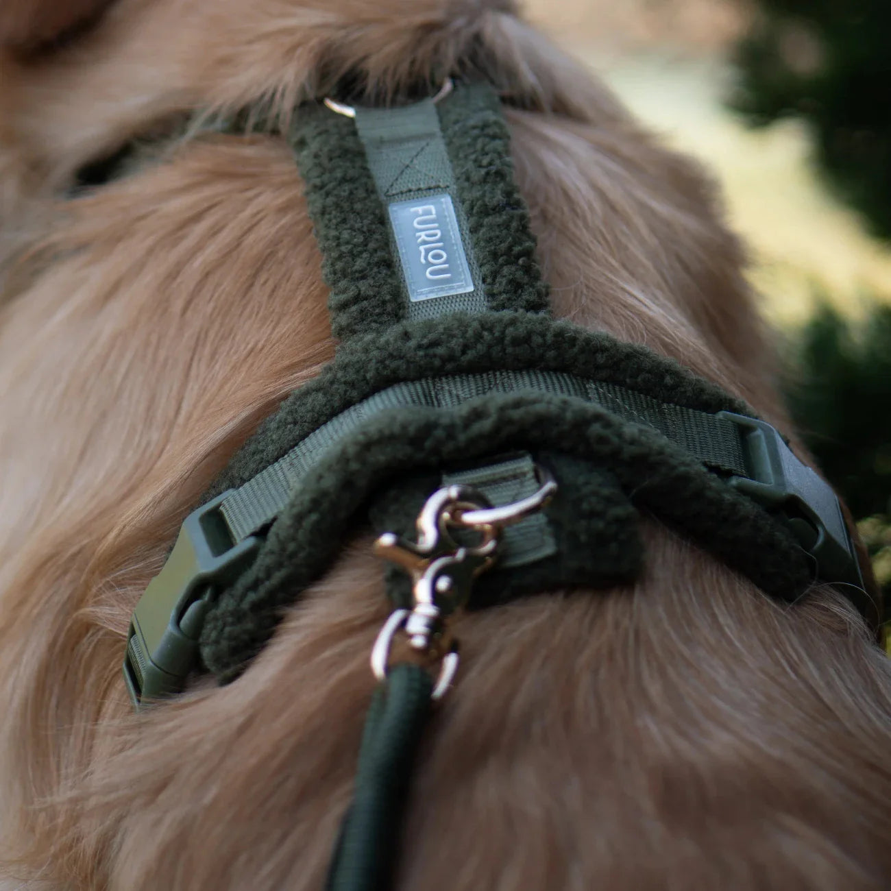 Sherpa Dog Harness — Moss Green
