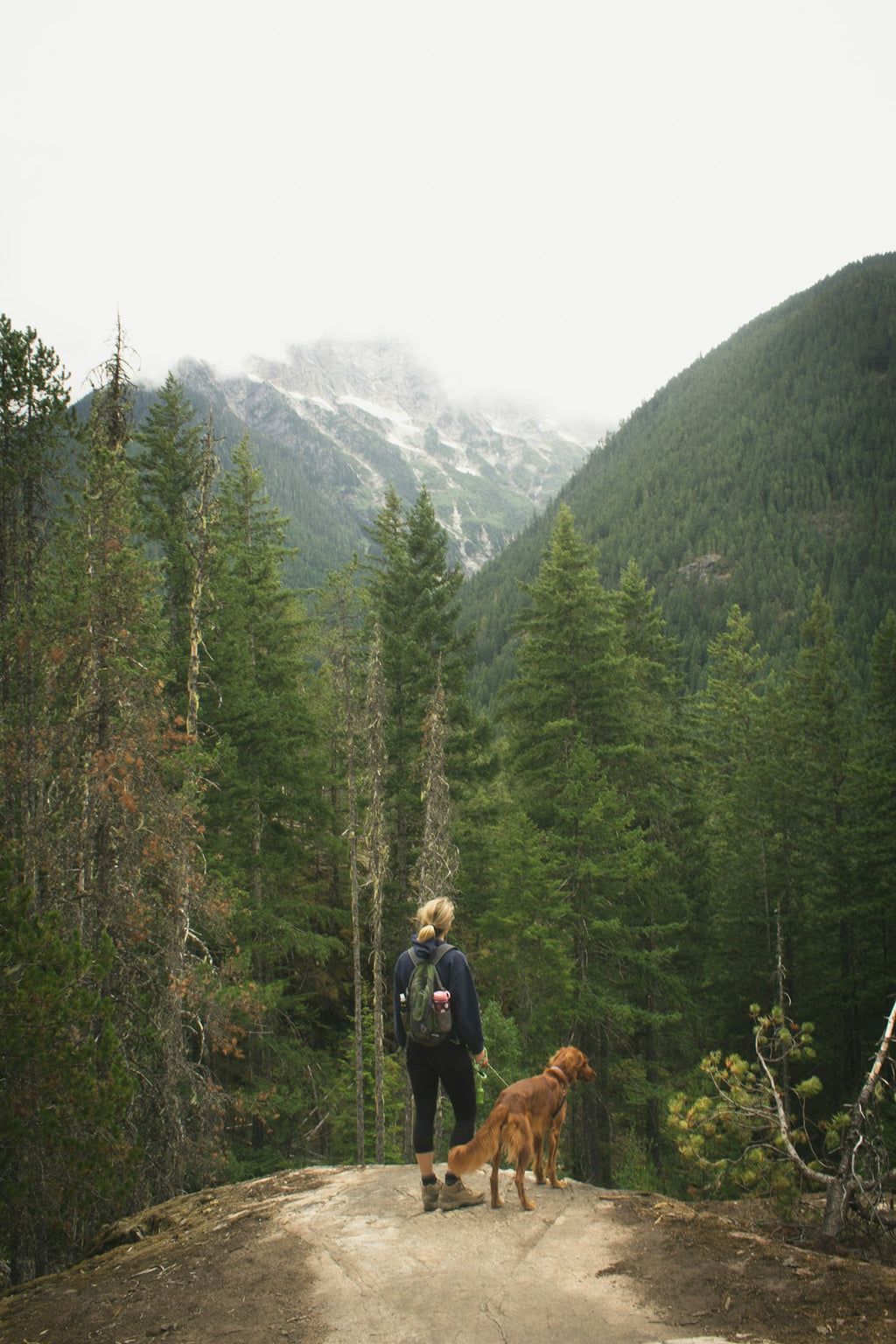 Hiker with dog and travel gear on trail